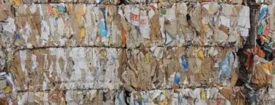 Immagine 3 azienda CARTA DA MACERO GALATEA Servizi professionali in Galatone LE
