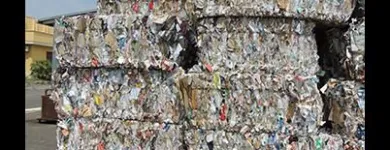 Immagine 4 azienda CARTA DA MACERO GALATEA Servizi professionali in Galatone LE