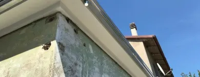 Immagine 1 azienda CARTONGESSO COLOR Realizzazione di coperture e tetti in Ravenna