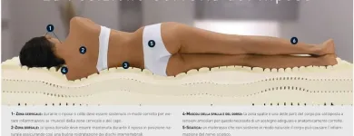 Immagine 3 azienda CASA DEI MATERASSI Shopping e acquisti in Ferrara