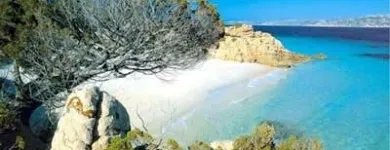 Immagine 5 azienda CASTIGLIONE VIAGGI Viaggi e turismo in Bologna