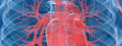 Immagine 4 azienda CENTRO CARDIOLOGICO VESUVIANO Salute in Portici NA