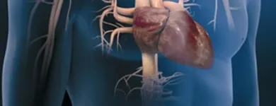 Immagine 5 azienda CENTRO CARDIOLOGICO VESUVIANO Salute in Portici NA
