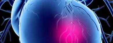 Immagine 6 azienda CENTRO CARDIOLOGICO VESUVIANO Salute in Portici NA