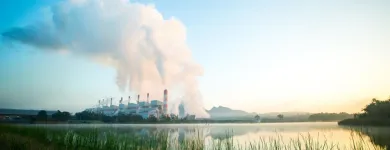 Immagine 3 azienda CEPI SICUREZZA Shopping e acquisti in Pomezia RM