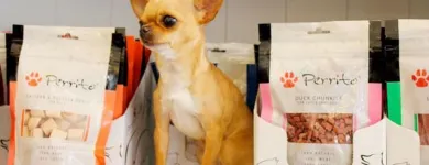 Immagine 4 azienda CHIHUAHUA STORE Shopping e acquisti in Fiumicino RM