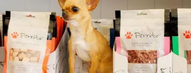 Immagine 5 azienda CHIHUAHUA STORE Shopping e acquisti in Fiumicino RM