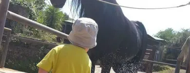 Immagine 2 azienda CIRCOLO IPPICO DEGLI ULIVI Servizi professionali in San Giovanni La Punta CT