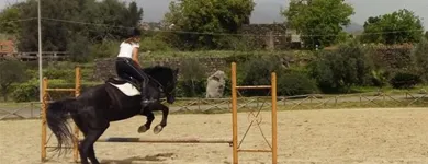 Immagine 3 azienda CIRCOLO IPPICO DEGLI ULIVI Servizi professionali in San Giovanni La Punta CT