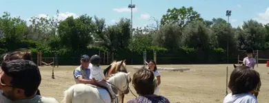 Immagine 4 azienda CIRCOLO IPPICO DEGLI ULIVI Servizi professionali in San Giovanni La Punta CT