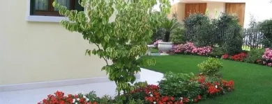 Immagine 1 azienda COLAZZO SERVICE Shopping e acquisti in Galatone LE