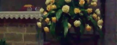 Immagine 2 azienda COLIFIORI AGRICOLI AZIENDA AGRICOLA Shopping e acquisti in San Giuliano Terme PI