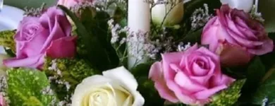 Immagine 8 azienda COLIFIORI AGRICOLI AZIENDA AGRICOLA Shopping e acquisti in San Giuliano Terme PI