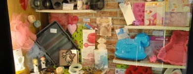 Immagine 1 azienda COLTELLERIA COLLINI Utensili da cucina in Busto Arsizio VA