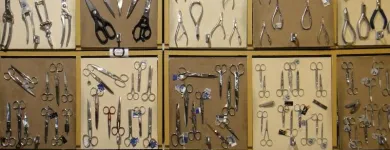 Immagine 6 azienda COLTELLERIA COLLINI Utensili da cucina in Busto Arsizio VA