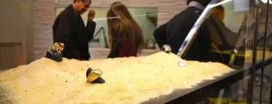 Immagine 2 azienda COMPRO ORO - VALENTINI PREZIOSI Shopping e acquisti in Rimini