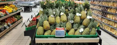 Immagine 23 azienda CONAD Shopping e acquisti in Verona