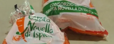 Immagine 2 azienda CONSORZIO DELLA CAROTA NOVELLA DI ISPICA IGP Servizi professionali in Ispica