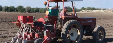 Immagine 3 azienda CONSORZIO DELLA CAROTA NOVELLA DI ISPICA IGP Servizi professionali in Ispica