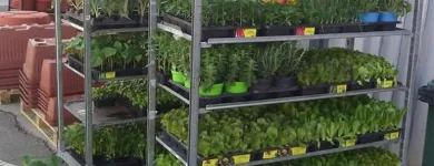 Immagine 1 azienda COOPERATIVA PRODUTTORI AGRICOLI DI CIVITAVECCHIA S.R.L. Shopping e acquisti in Civitavecchia RM