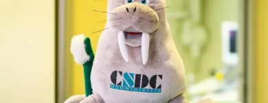 Immagine 2 azienda CSDC ODONTOIATRIA COMO Salute in Como