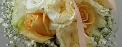 Immagine 7 azienda DANILO FLORAL DESIGNER Vivaio in Ispica