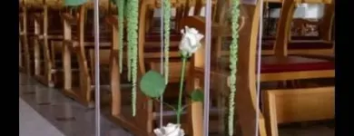 Immagine 8 azienda DANILO FLORAL DESIGNER Vivaio in Ispica