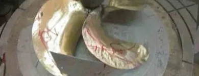 Immagine 4 azienda DI DONNA ALFONSO Veicoli in Lido Di Ostia RM