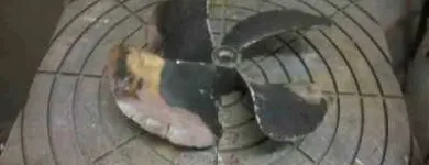 Immagine 5 azienda DI DONNA ALFONSO Veicoli in Lido Di Ostia RM