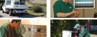 Immagine 2 azienda DISINFEST CONTROL Immobiliare e ristrutturazioni in Pescara