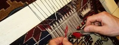 Immagine 4 azienda DORRIZ RASOOL TAPPETI D'ORIENTE Tappeti in Busto Arsizio VA