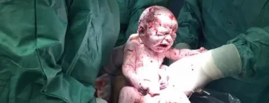 Immagine 2 azienda DOTT. MONACO VINCENZO Salute in Civitavecchia RM