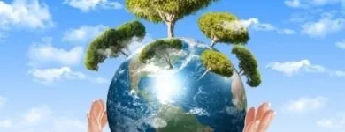 Immagine 2 azienda ECO FIORENZ Servizi professionali in Nettuno RM