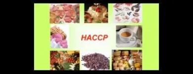 Immagine 4 azienda ECO FIORENZ Servizi professionali in Nettuno RM