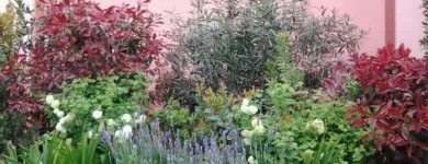 Immagine 4 azienda ECOIMEL SOC. COOP. Veicoli in Taranto