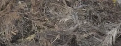 Immagine 3 azienda ECOMAC SMALTIMENTI Servizi professionali in Siracusa