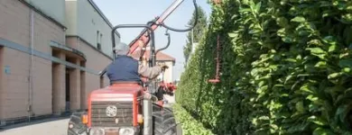 Immagine 4 azienda EDEN GARDEN Vivaio in Lonate Pozzolo VA