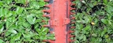 Immagine 7 azienda EDEN GARDEN Vivaio in Lonate Pozzolo VA