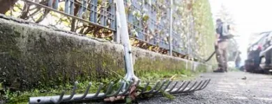 Immagine 8 azienda EDEN GARDEN Vivaio in Lonate Pozzolo VA