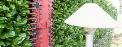 Immagine 11 azienda EDEN GARDEN Vivaio in Lonate Pozzolo VA