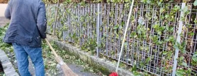 Immagine 13 azienda EDEN GARDEN Vivaio in Lonate Pozzolo VA