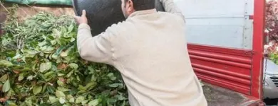 Immagine 14 azienda EDEN GARDEN Vivaio in Lonate Pozzolo VA