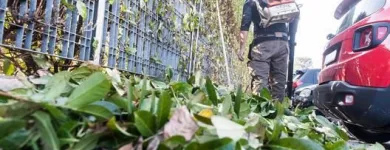 Immagine 18 azienda EDEN GARDEN Vivaio in Lonate Pozzolo VA