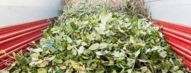 Immagine 20 azienda EDEN GARDEN Vivaio in Lonate Pozzolo VA