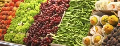 Immagine 3 azienda EMPORIO LA MELA Shopping e acquisti in Palermo