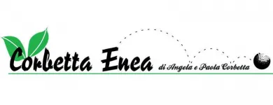 Immagine 7 azienda ENEA CORBETTA Vivaio in Cantù