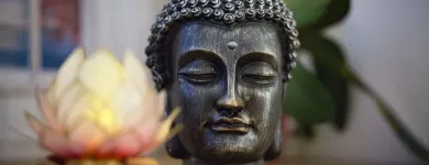 Immagine 3 azienda ENERGIA DEL BENESSERE Spa in Castel Maggiore BO