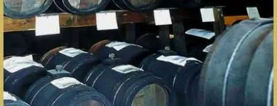 Immagine 8 azienda ENOTECA DUCALE Shopping e acquisti in Modena
