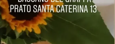 Immagine 6 azienda ESTETICA CHIARA Servizi di bellezza in Bassano Del Grappa VI
