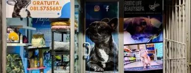 Immagine 8 azienda EXOTIC LIFE Servizi professionali in Napoli